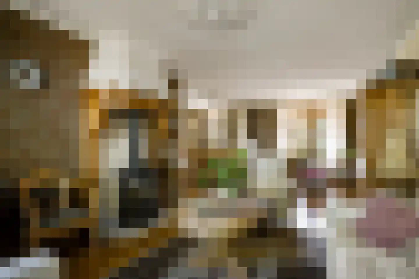 Nieuwenakker 20 Haelen thumbnail 19