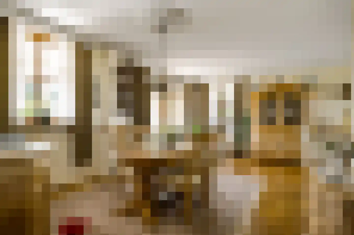 Nieuwenakker 20 Haelen thumbnail 21