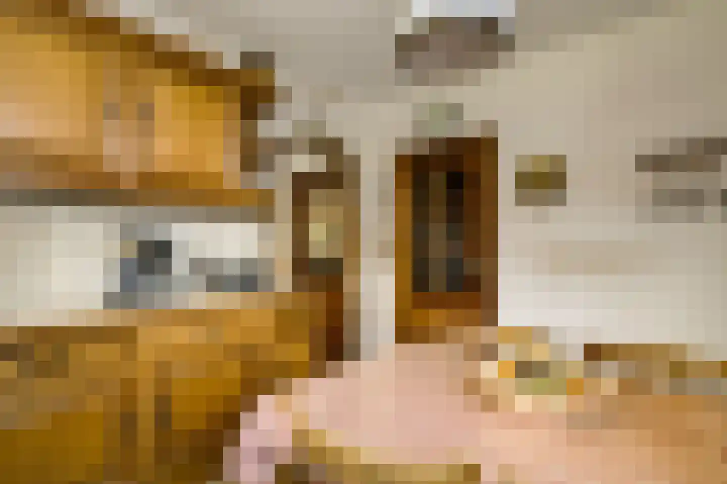 Nieuwenakker 20 Haelen thumbnail 24