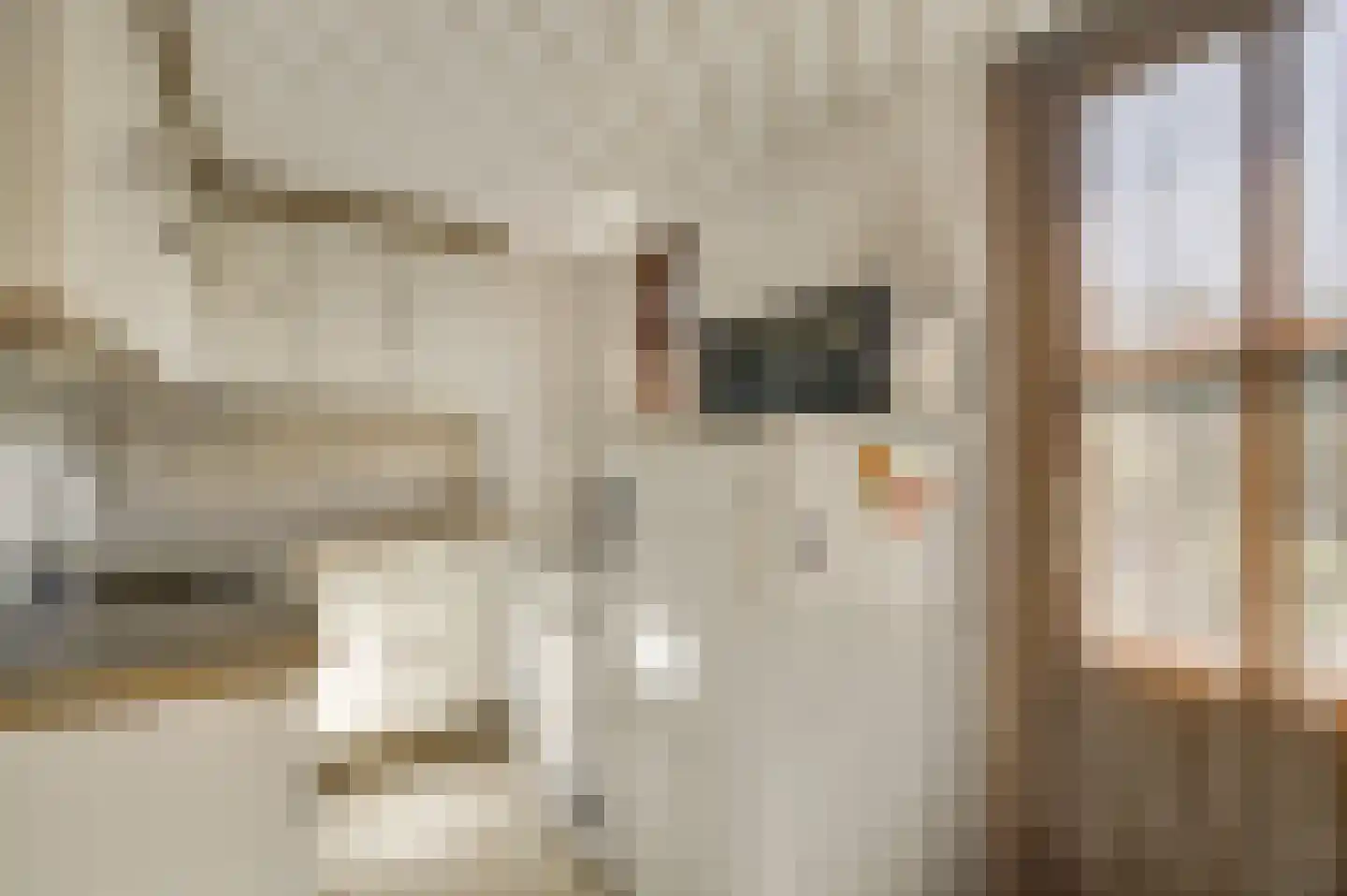Nieuwenakker 20 Haelen thumbnail 25