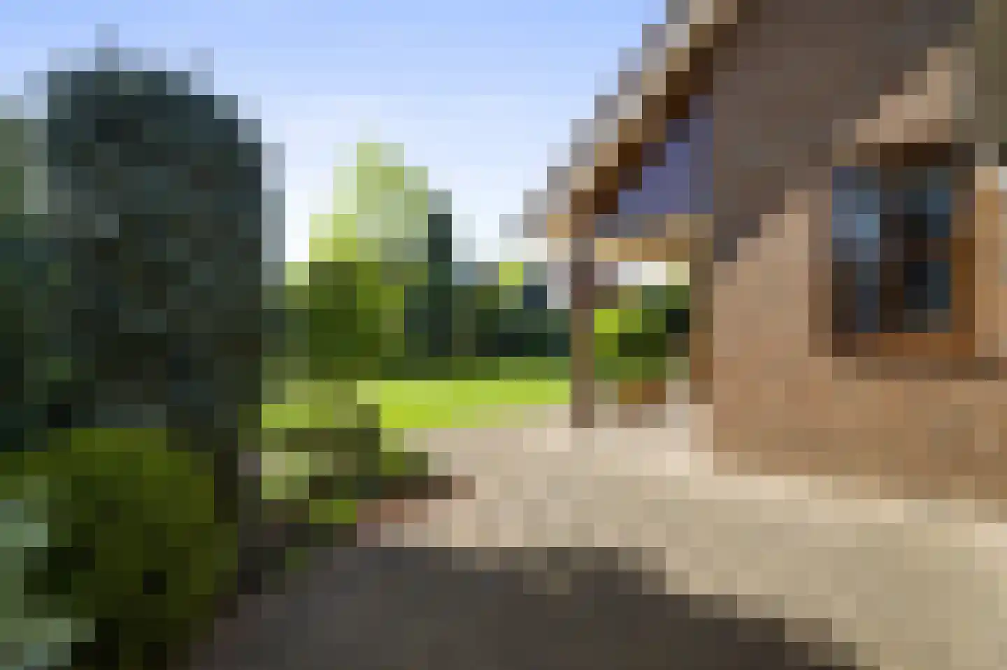 Nieuwenakker 20 Haelen thumbnail 27