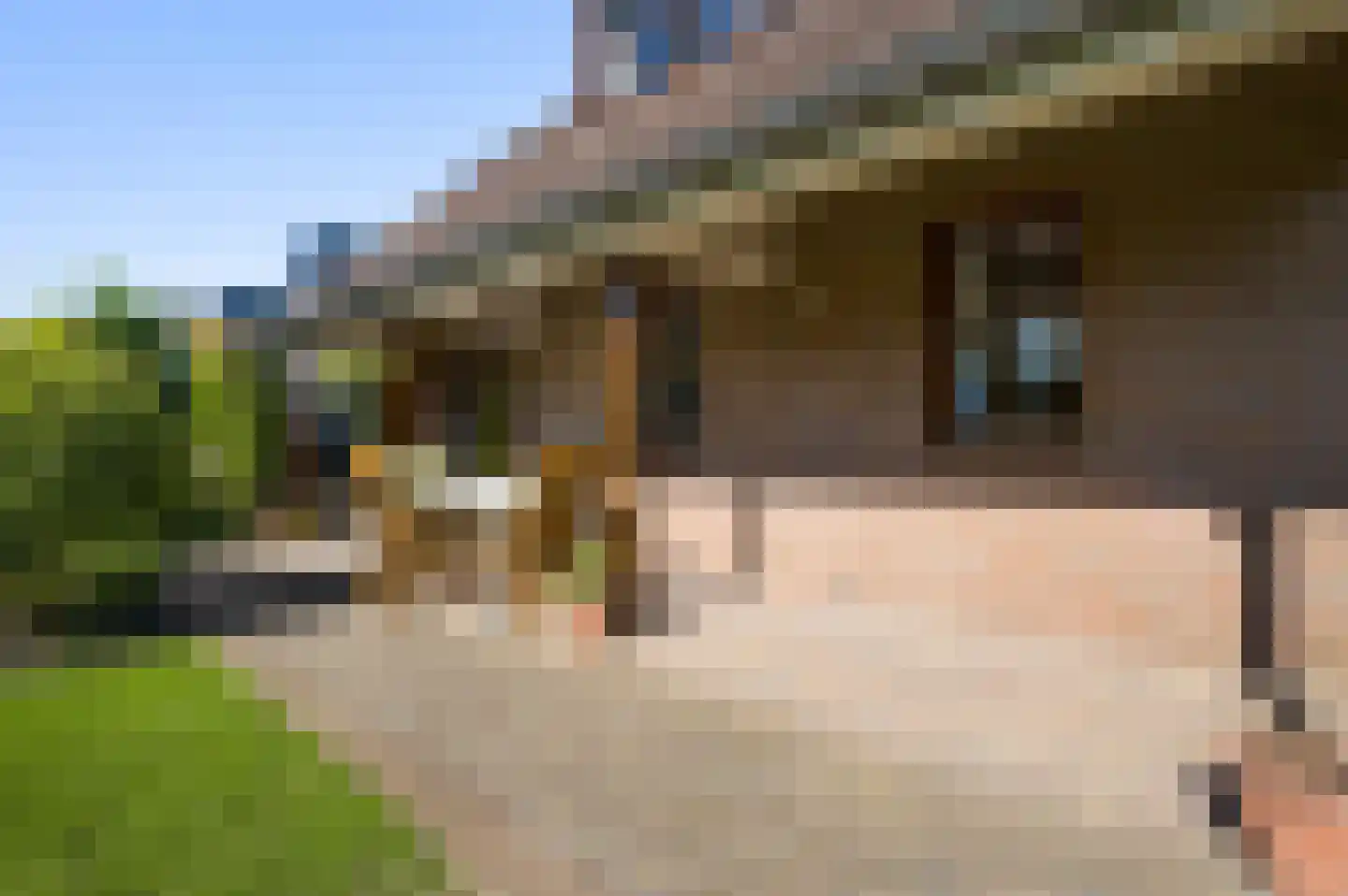 Nieuwenakker 20 Haelen thumbnail 30
