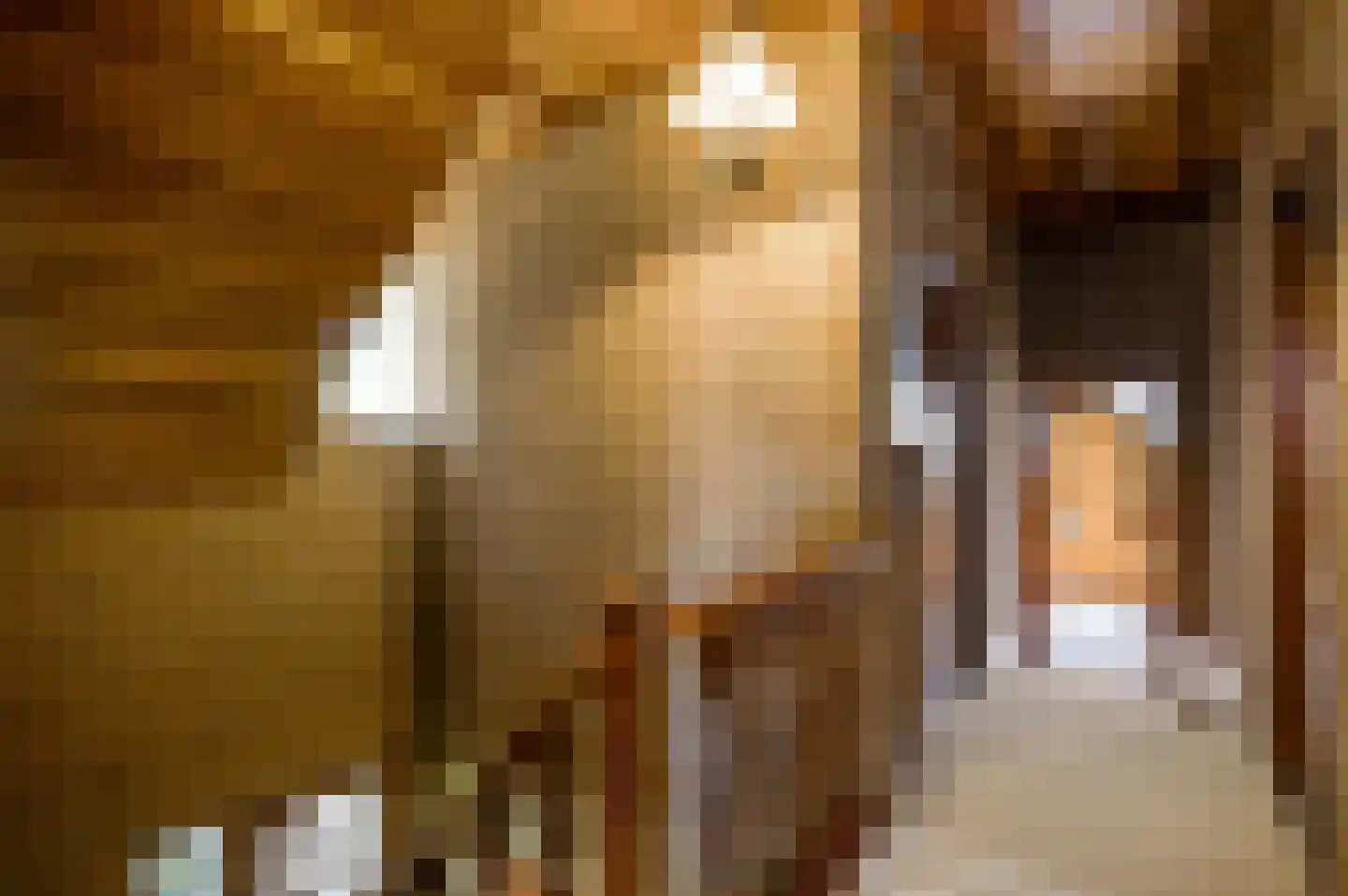 Nieuwenakker 20 Haelen thumbnail 31