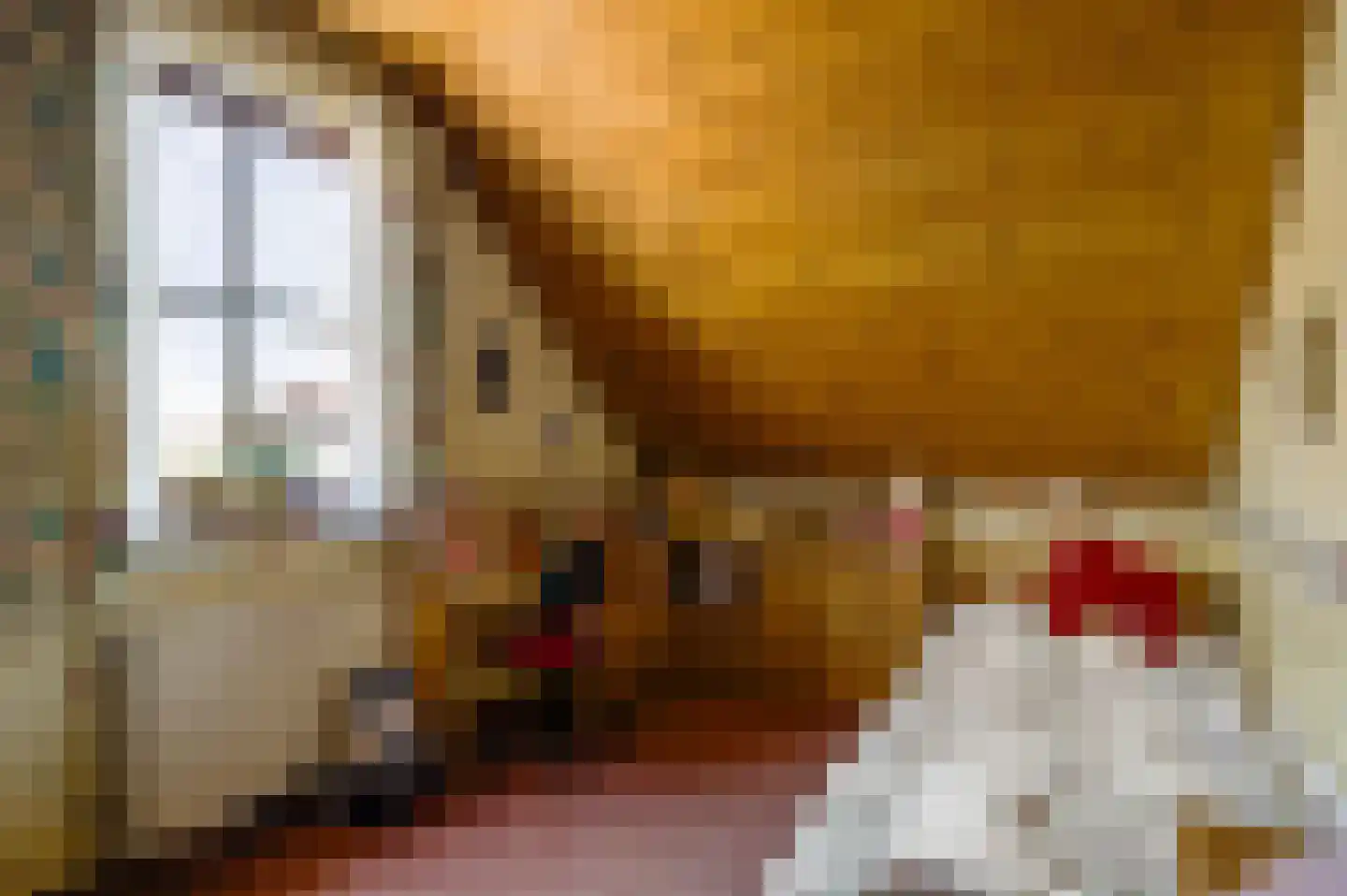 Nieuwenakker 20 Haelen thumbnail 37