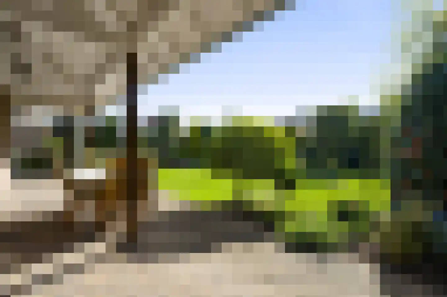 Nieuwenakker 20 Haelen thumbnail 4