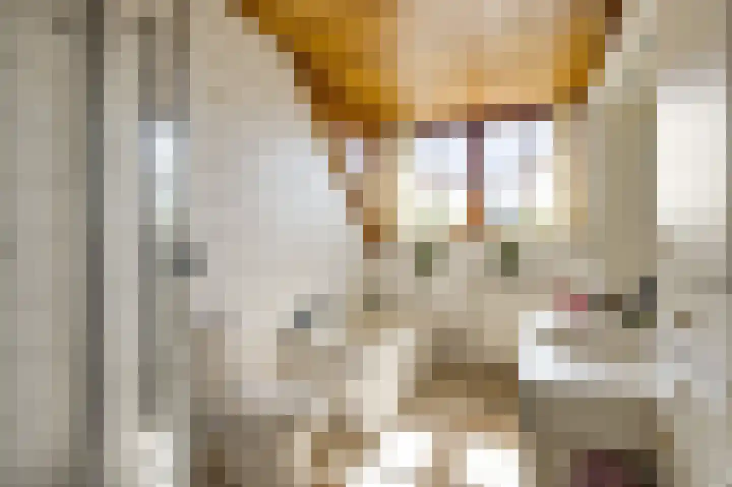 Nieuwenakker 20 Haelen thumbnail 40
