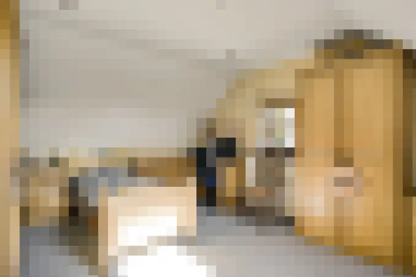 Nieuwenakker 20 Haelen thumbnail 42