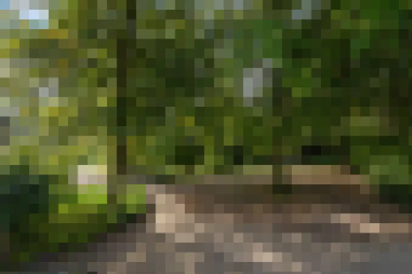 Nieuwenbroek 14 Weert thumbnail 31
