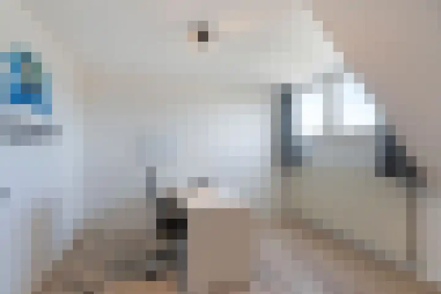 Nieuwenbroek 14 Weert thumbnail 43