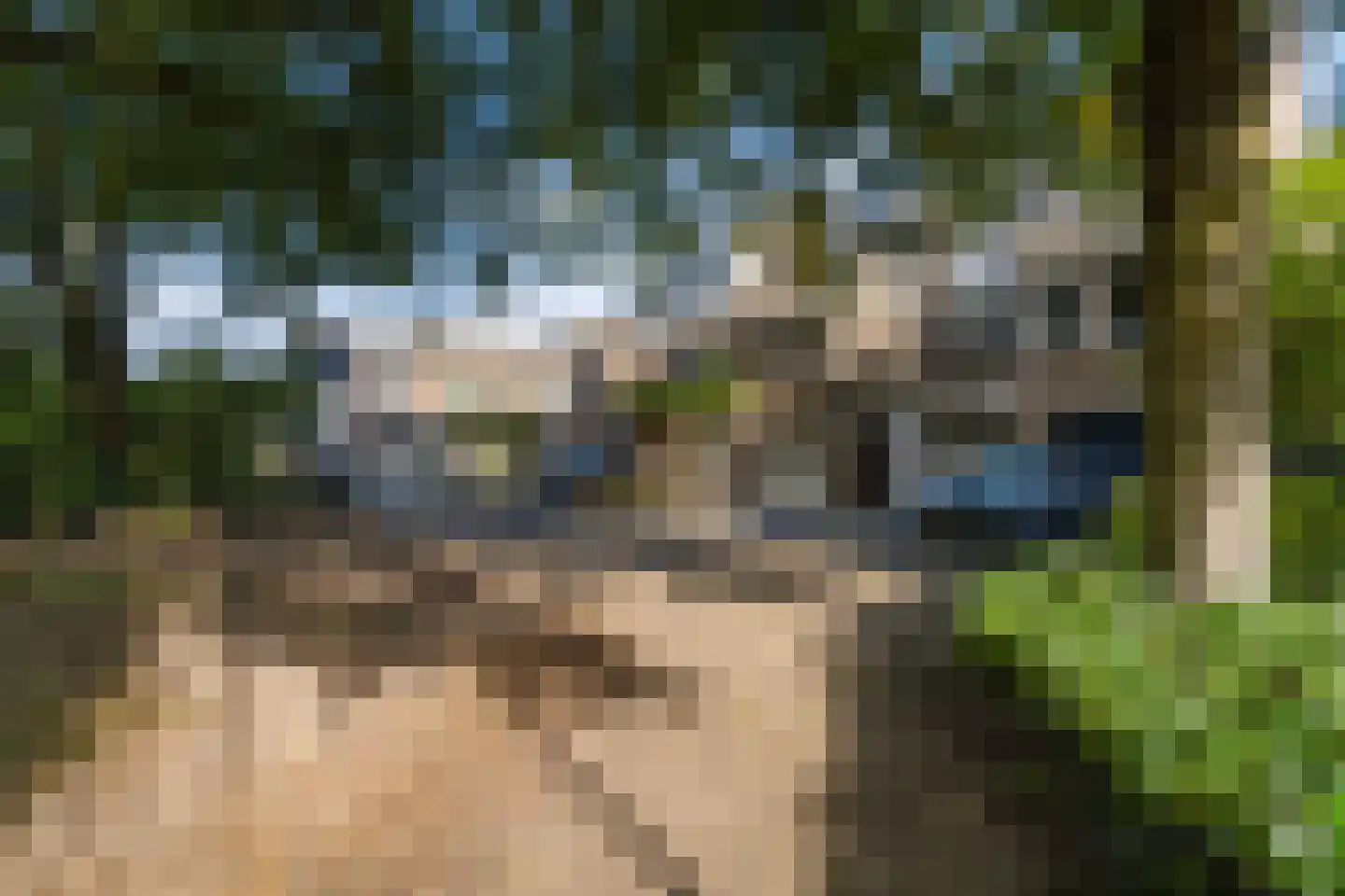 Nieuwenbroek 14 Weert thumbnail 55