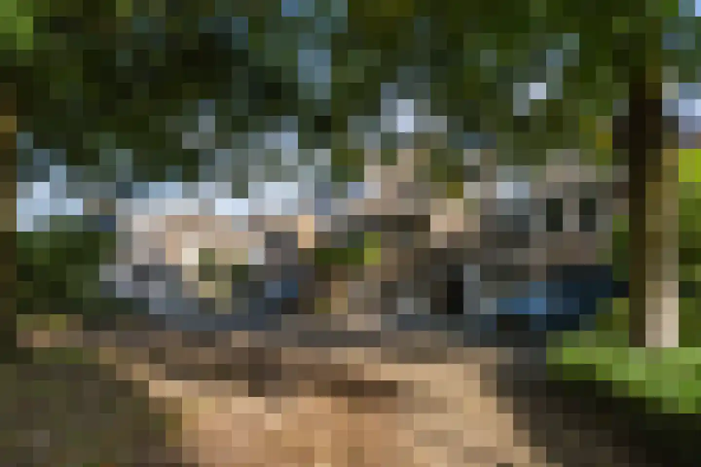 Nieuwenbroek 14 Weert thumbnail 9