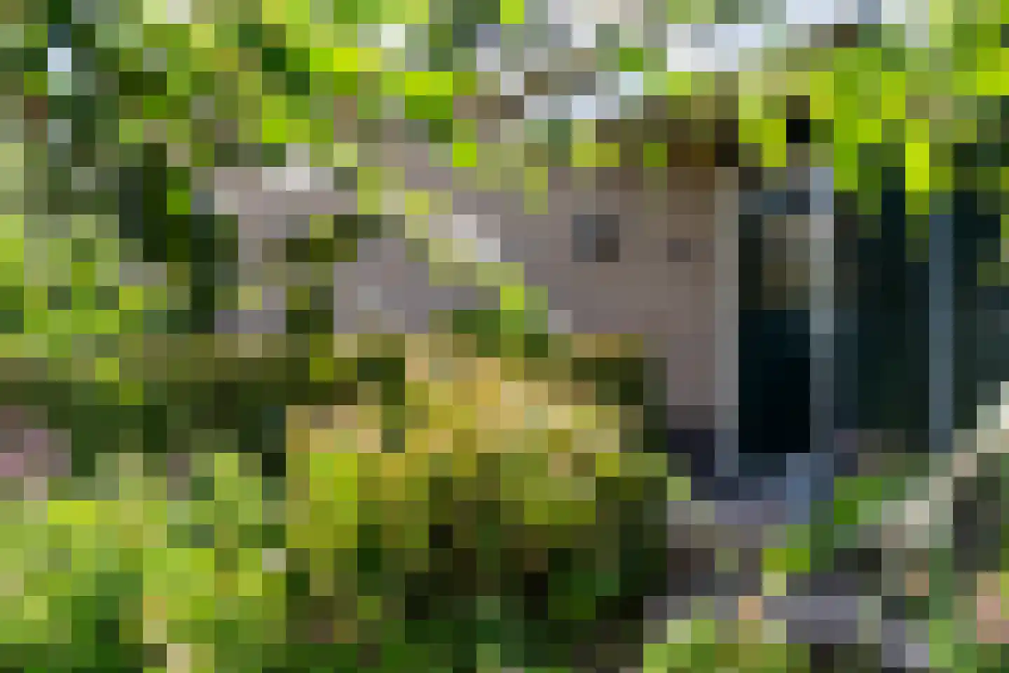 Nieuwenbroeksedijk 10 Reeuwijk thumbnail 11