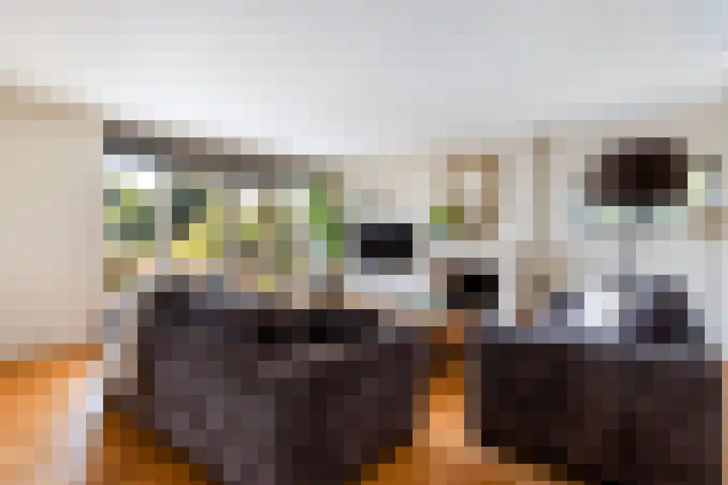 Nieuwenbroeksedijk 10 Reeuwijk thumbnail 16
