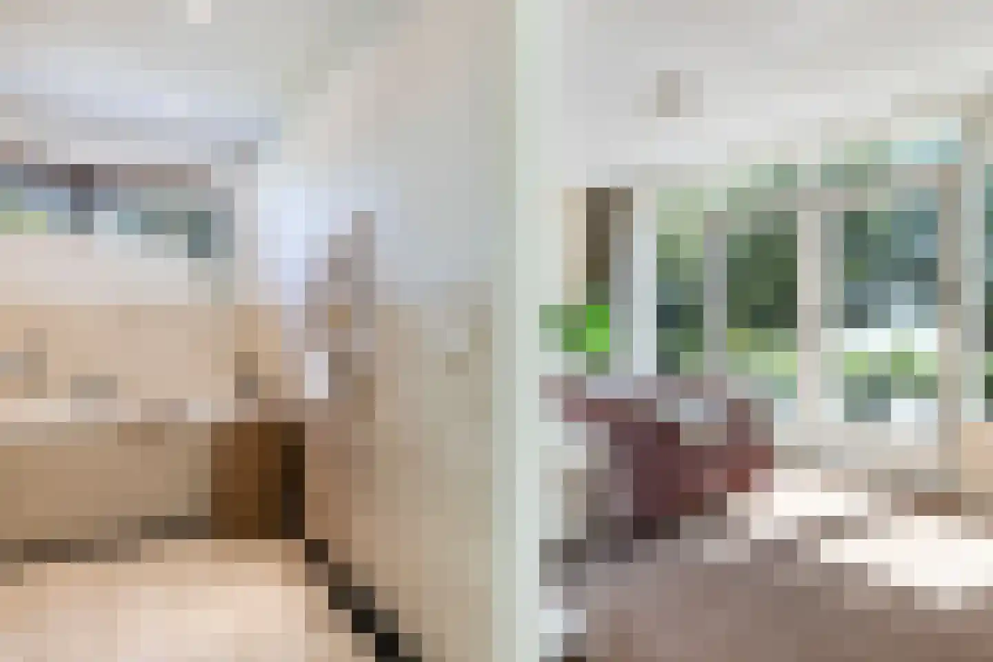 Nieuwenbroeksedijk 10 Reeuwijk thumbnail 27