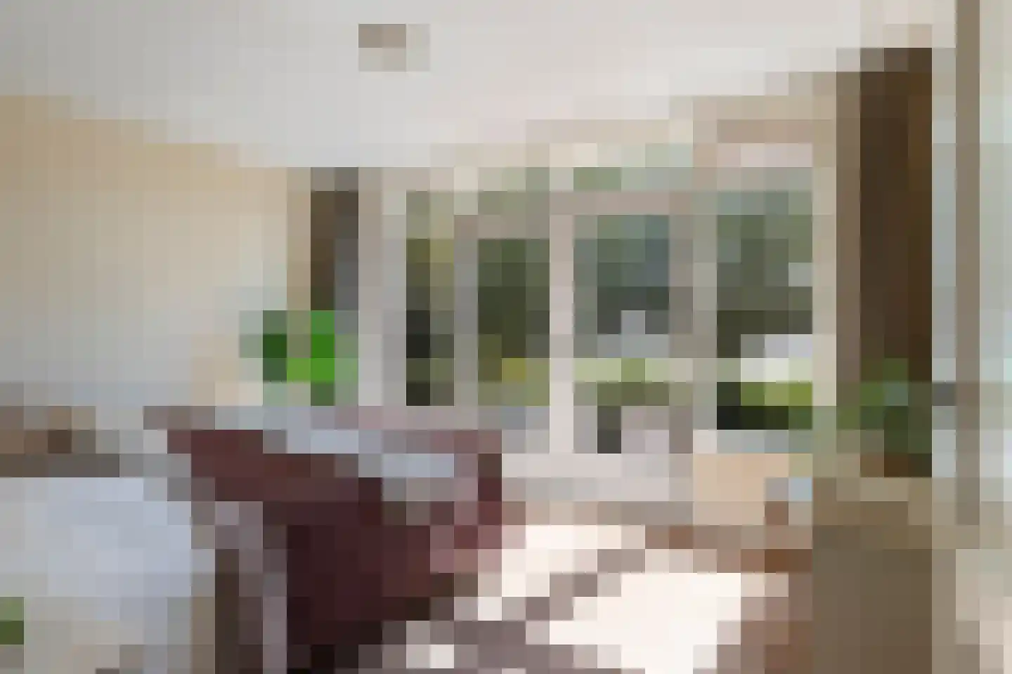 Nieuwenbroeksedijk 10 Reeuwijk thumbnail 28