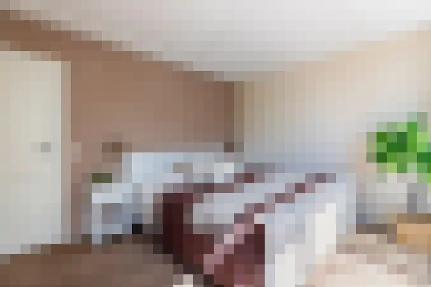 Nieuwenbroeksedijk 10 Reeuwijk thumbnail 29
