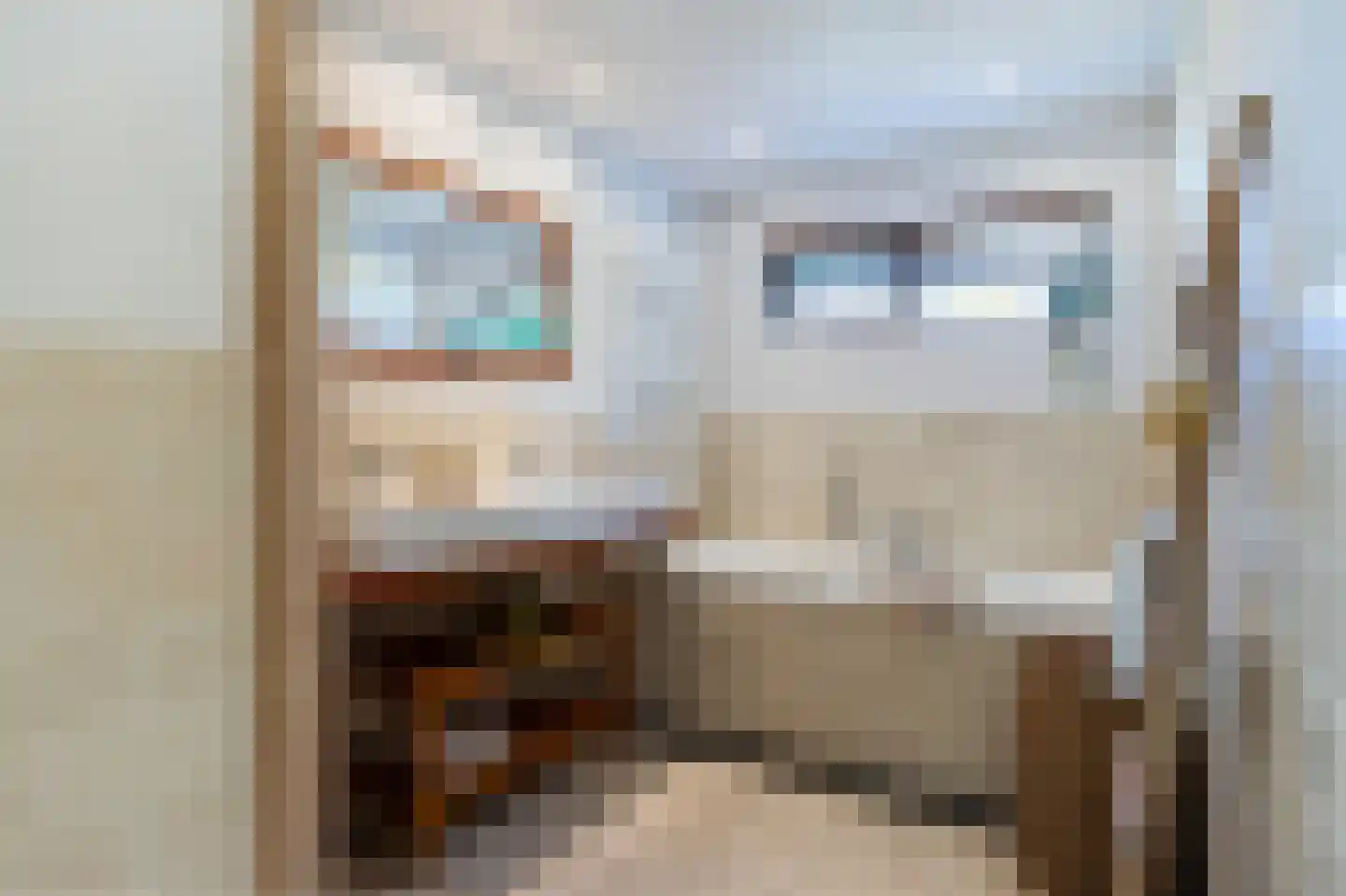 Nieuwenbroeksedijk 10 Reeuwijk thumbnail 31