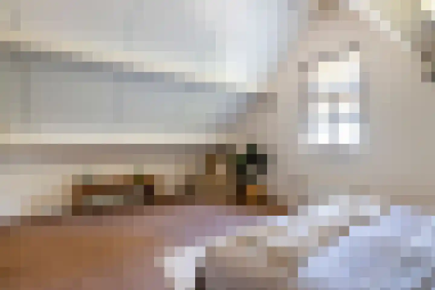 Nieuwenbroeksedijk 10 Reeuwijk thumbnail 37