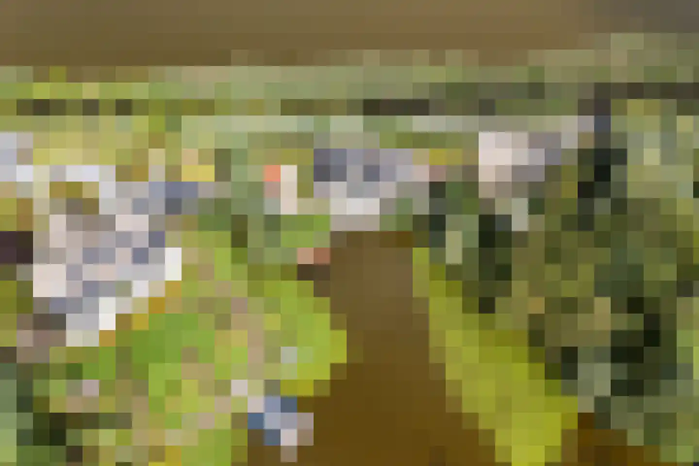 Nieuwenbroeksedijk 10 Reeuwijk thumbnail 4
