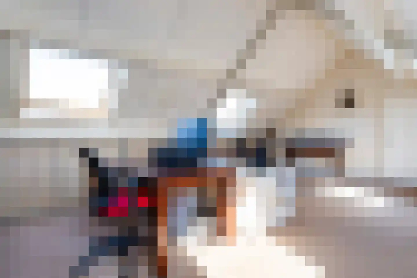 Nieuwenbroeksedijk 10 Reeuwijk thumbnail 43
