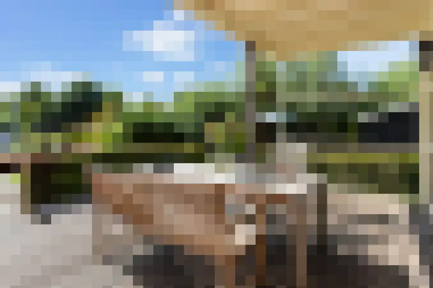 Nieuwenbroeksedijk 10 Reeuwijk thumbnail 45