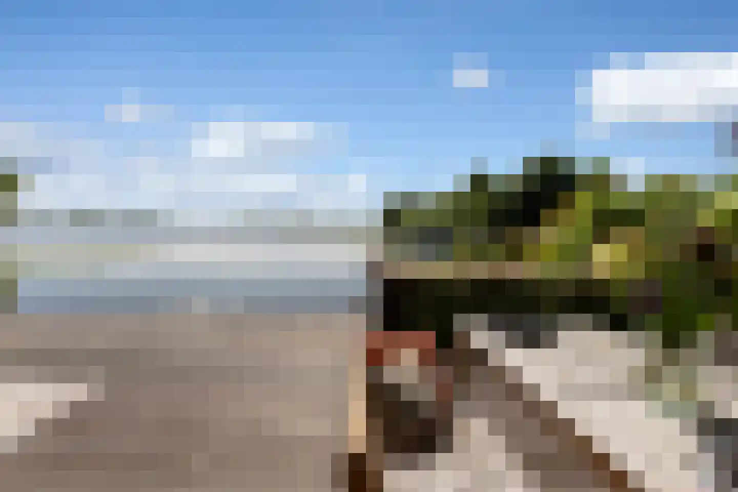 Nieuwenbroeksedijk 10 Reeuwijk thumbnail 46