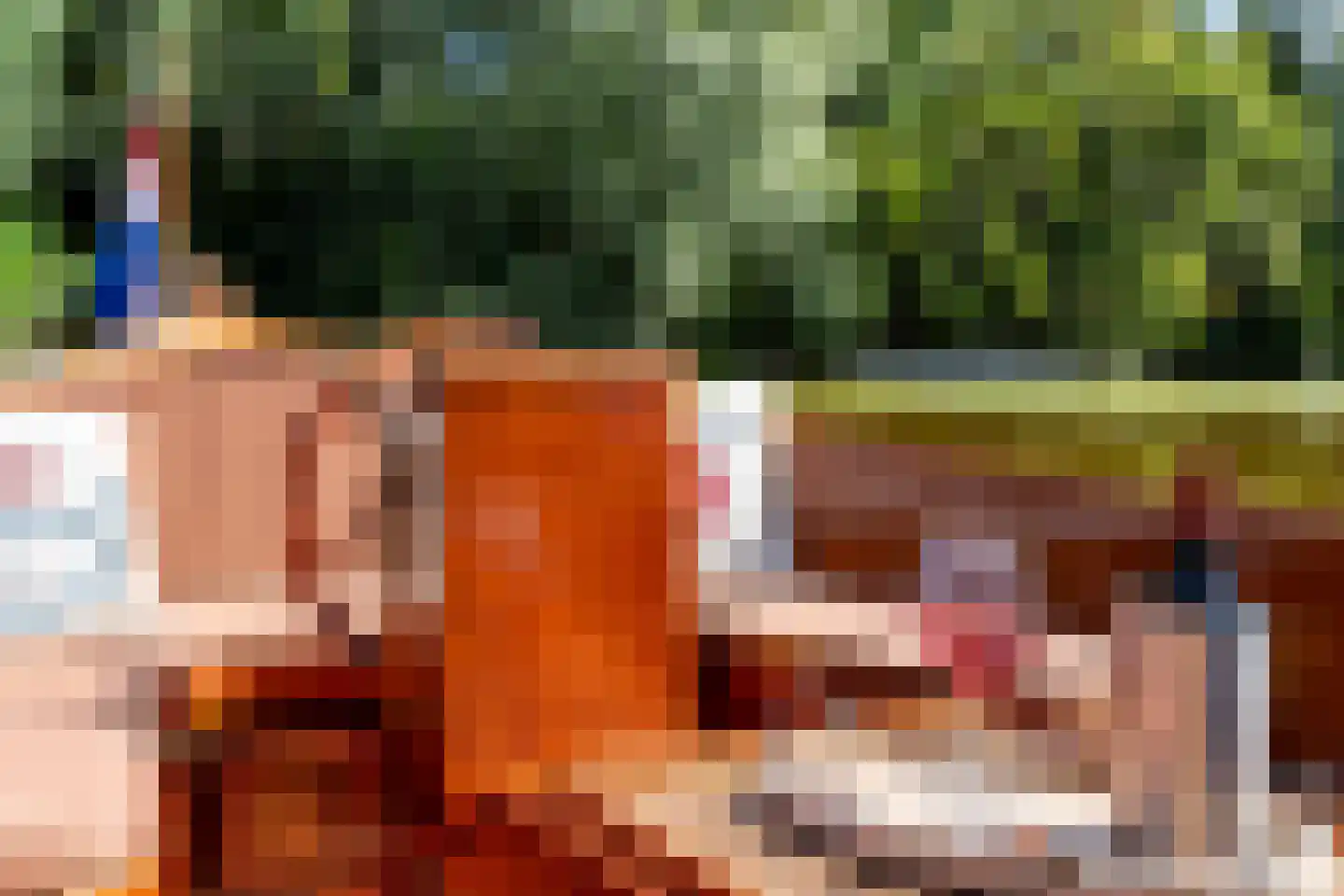 Nieuwenbroeksedijk 10 Reeuwijk thumbnail 48