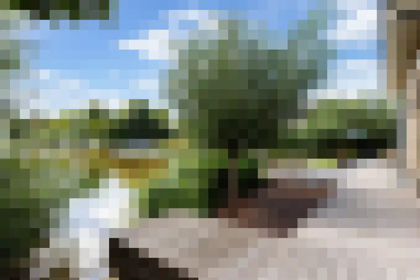 Nieuwenbroeksedijk 10 Reeuwijk thumbnail 49