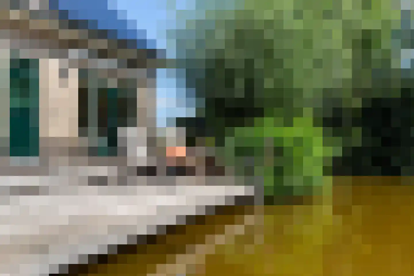 Nieuwenbroeksedijk 10 Reeuwijk thumbnail 51