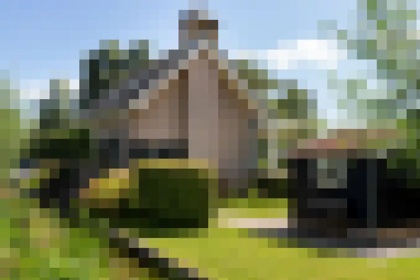 Nieuwenbroeksedijk 10 Reeuwijk thumbnail 55