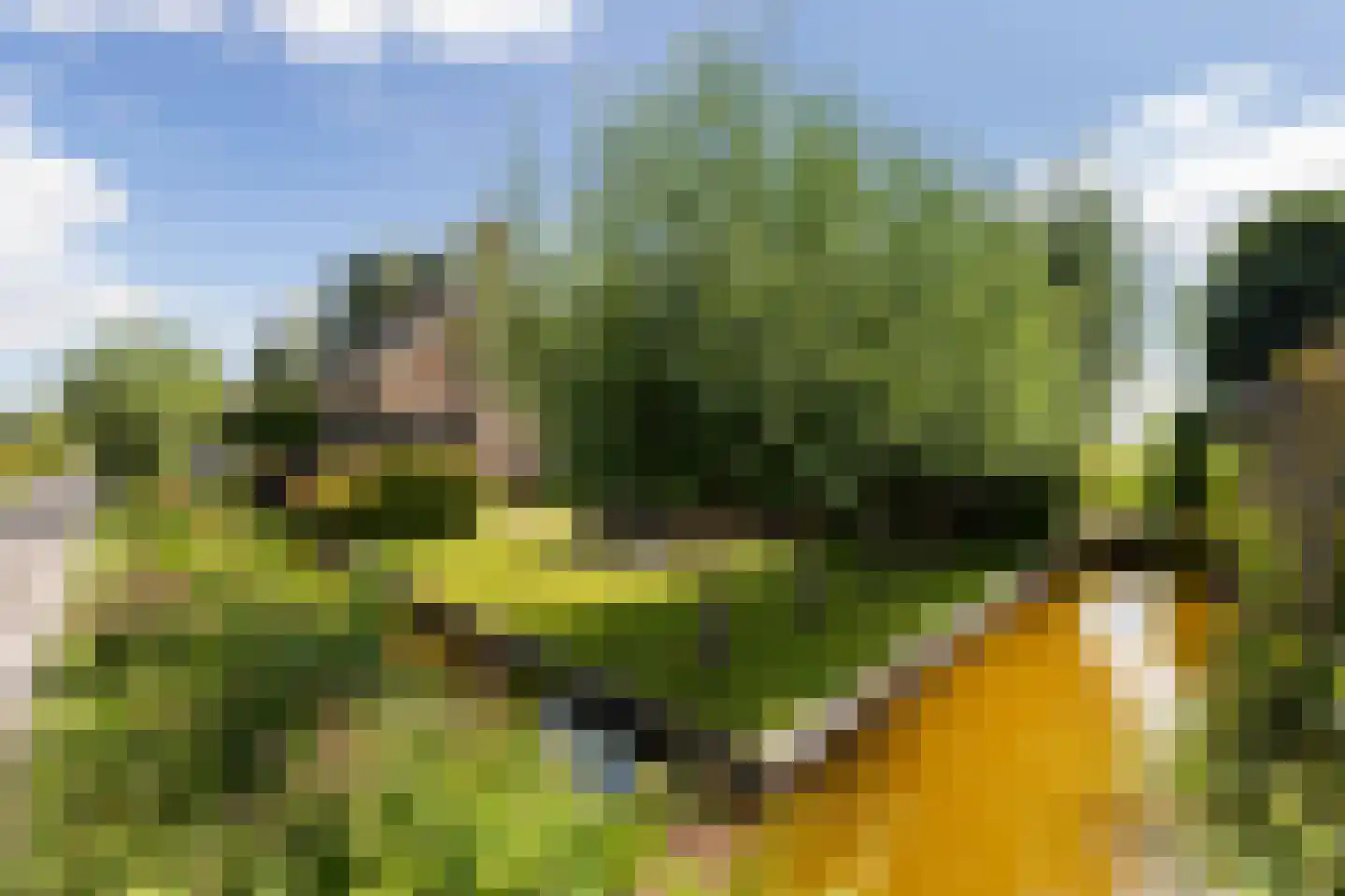 Nieuwenbroeksedijk 10 Reeuwijk thumbnail 56