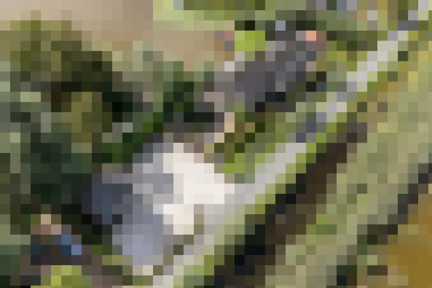 Nieuwenbroeksedijk 10 Reeuwijk thumbnail 61