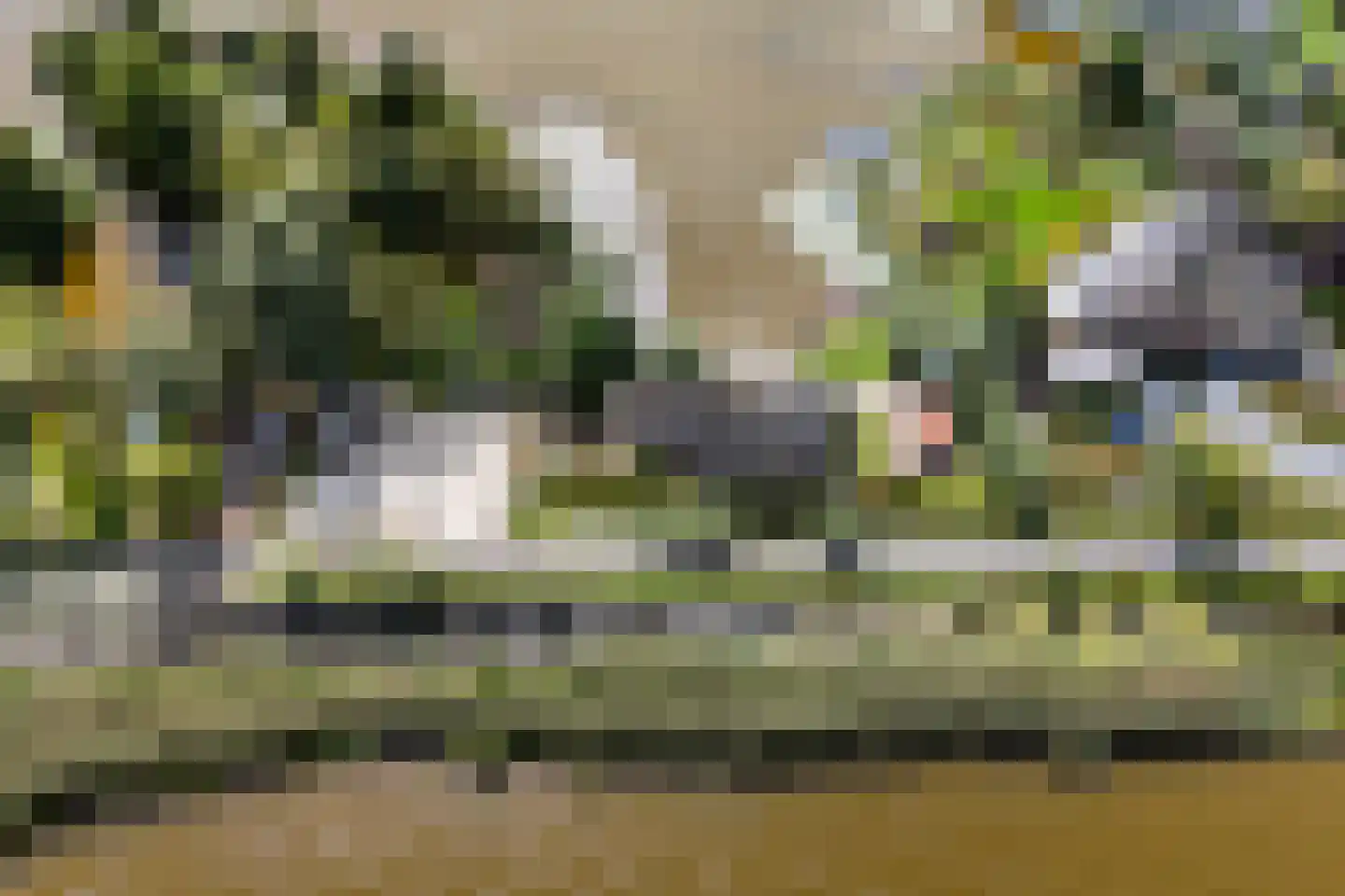 Nieuwenbroeksedijk 10 Reeuwijk thumbnail 63