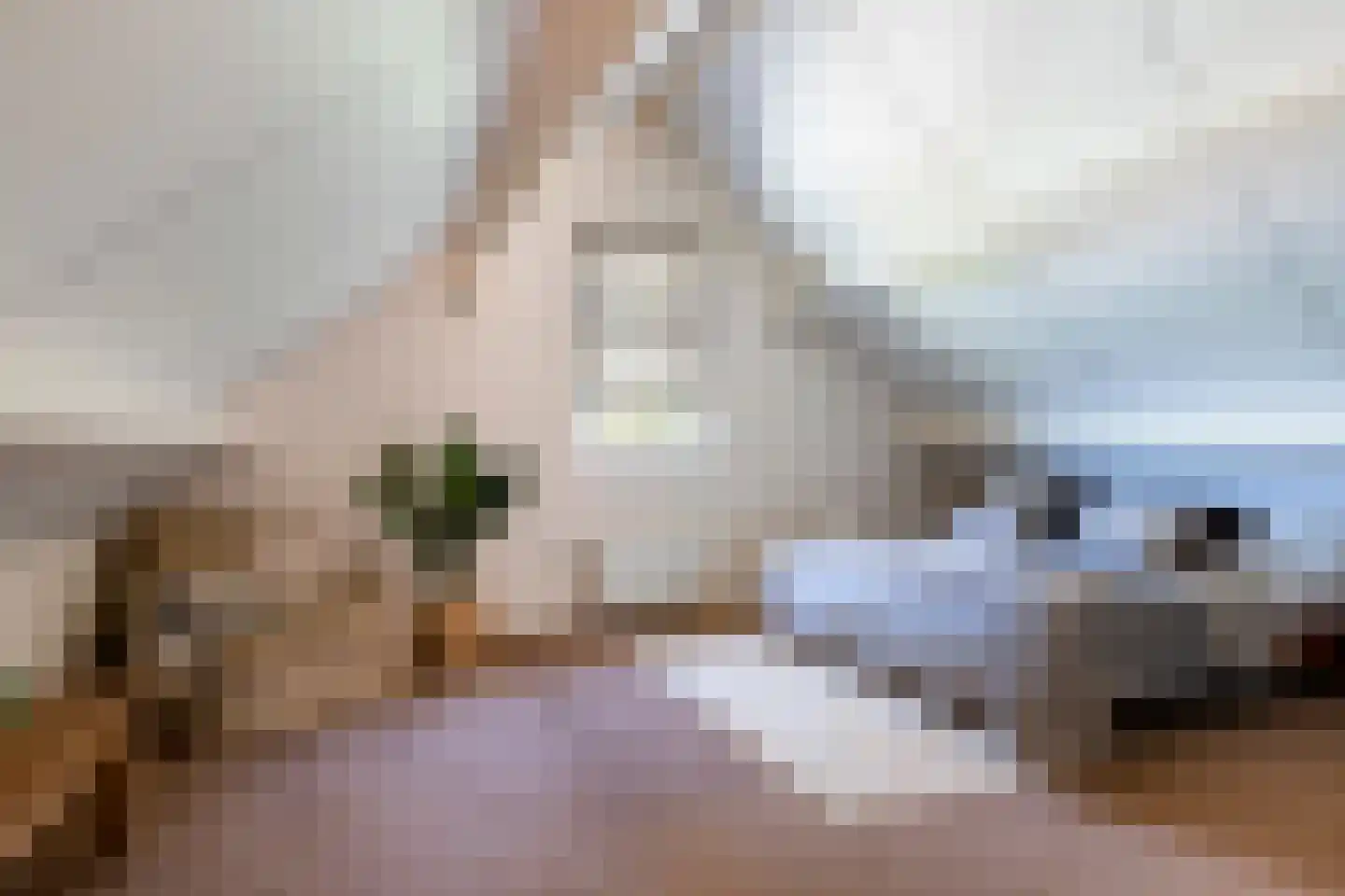 Nieuwenbroeksedijk 10 Reeuwijk thumbnail 8