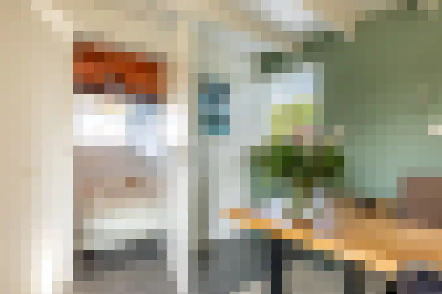 Nieuwenbroeksedijk 4 a Reeuwijk thumbnail 29