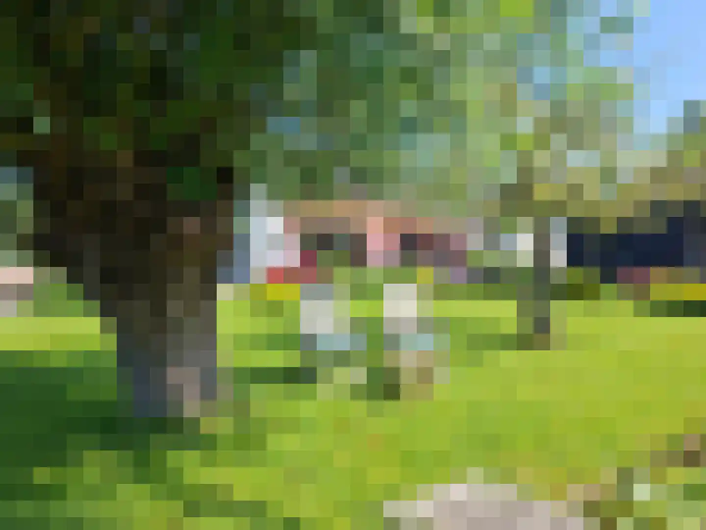 Nieuwenbroeksedijk 4 a Reeuwijk thumbnail 33