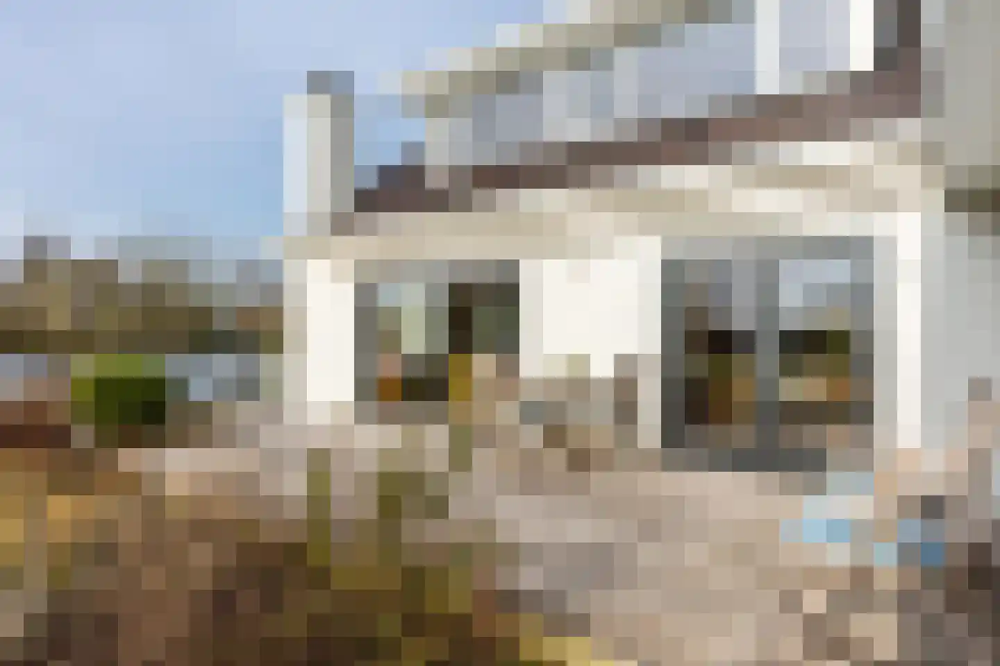 Nieuwenbroeksedijk 4 a Reeuwijk thumbnail 34
