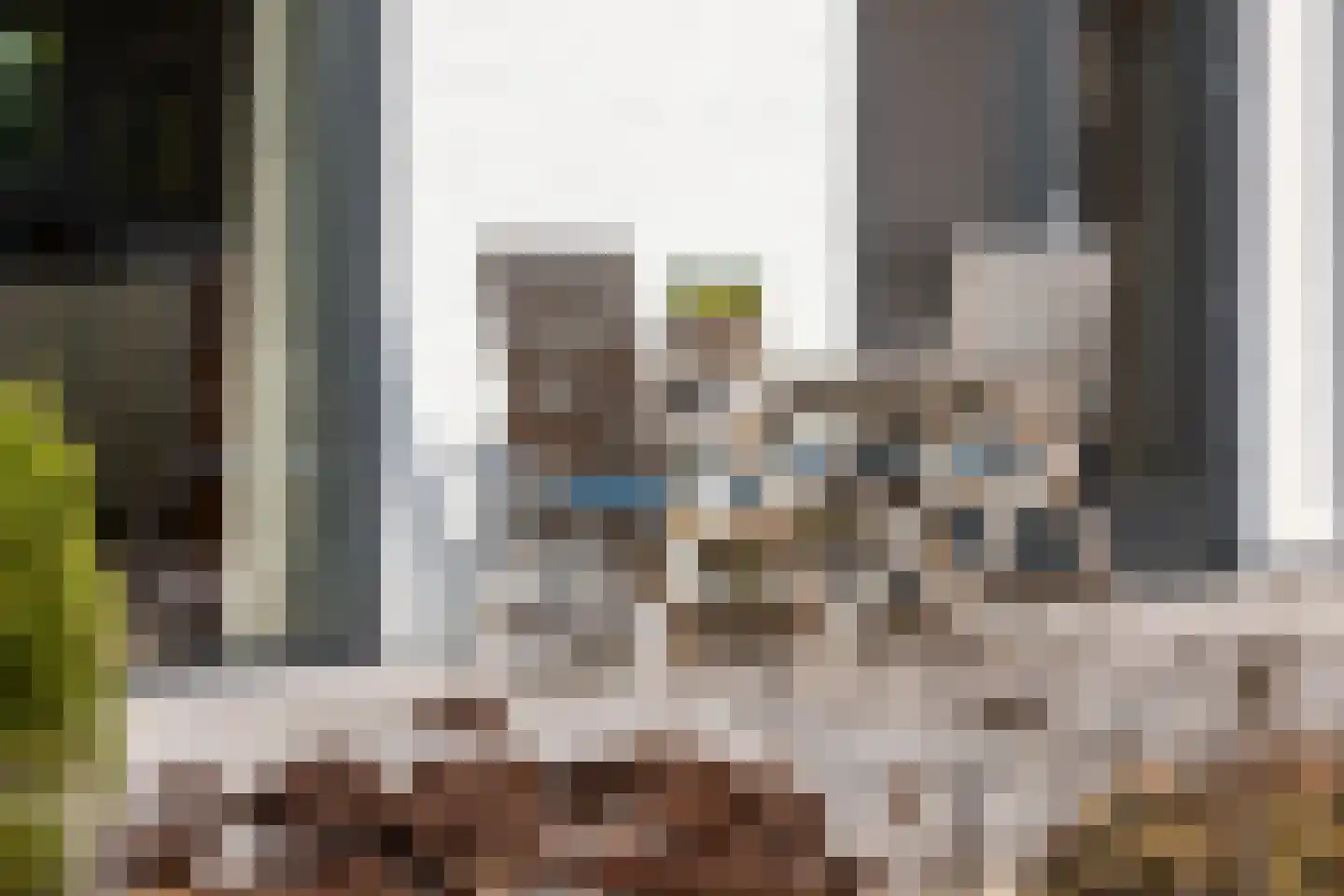Nieuwenbroeksedijk 4 a Reeuwijk thumbnail 34