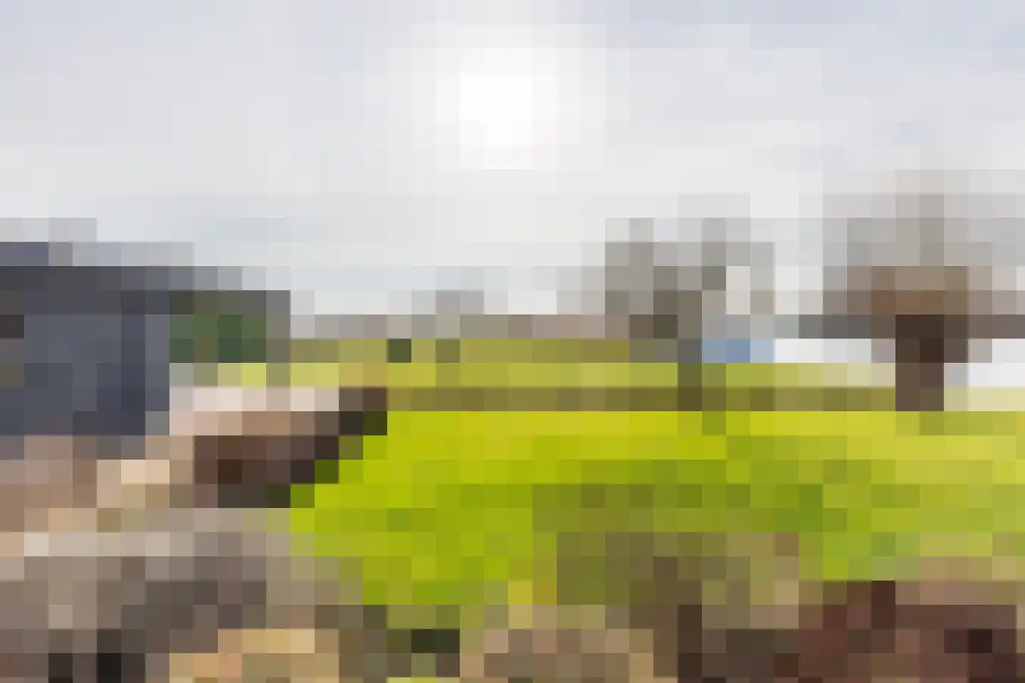 Nieuwenbroeksedijk 4 a Reeuwijk thumbnail 37