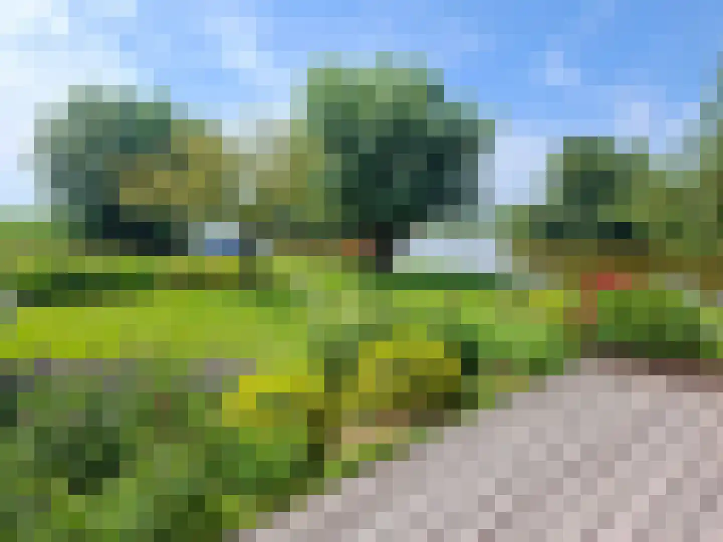 Nieuwenbroeksedijk 4 a Reeuwijk thumbnail 41