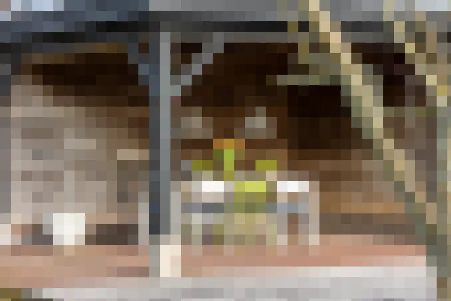 Nieuwenbroeksedijk 4 a Reeuwijk thumbnail 43