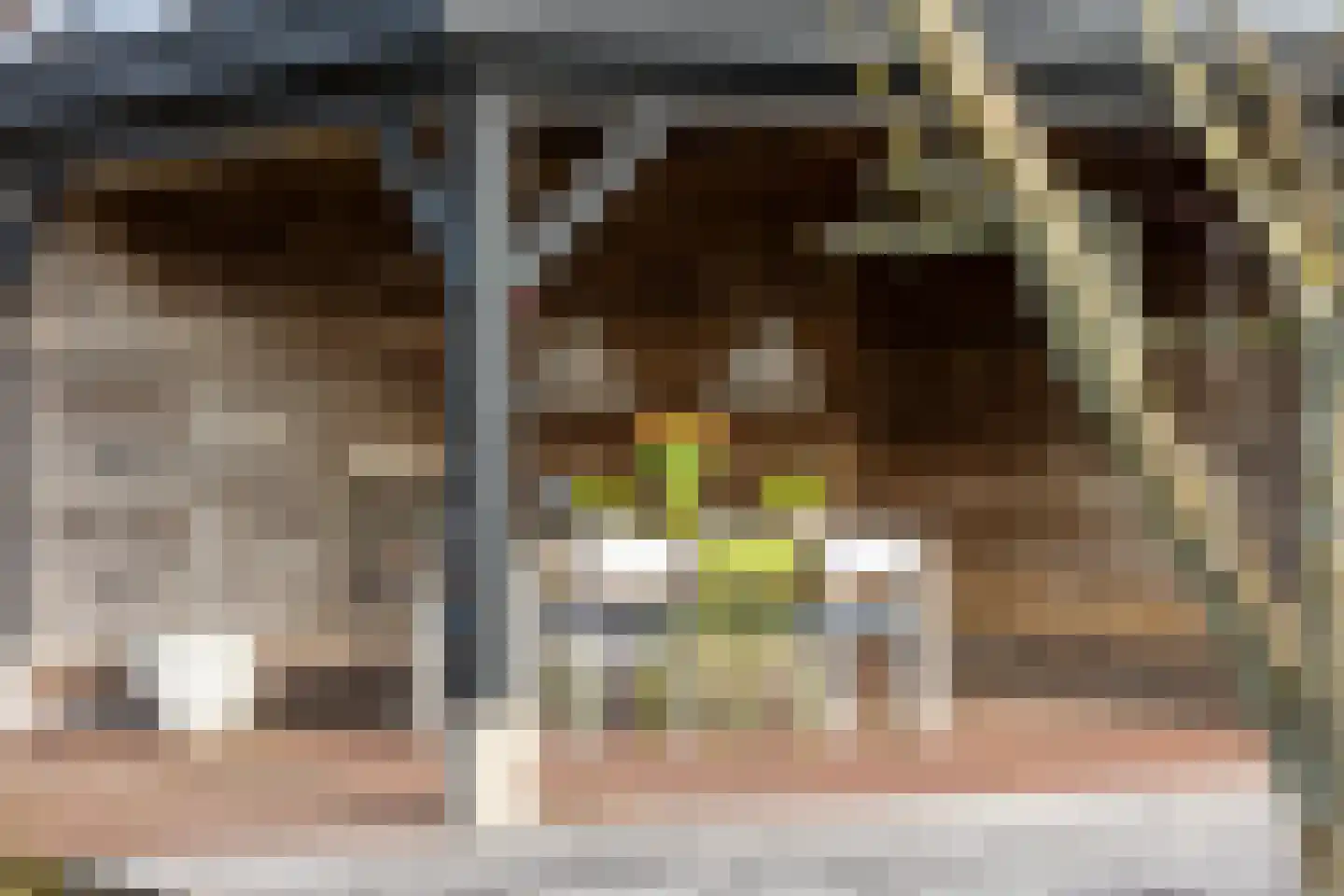 Nieuwenbroeksedijk 4 a Reeuwijk thumbnail 45
