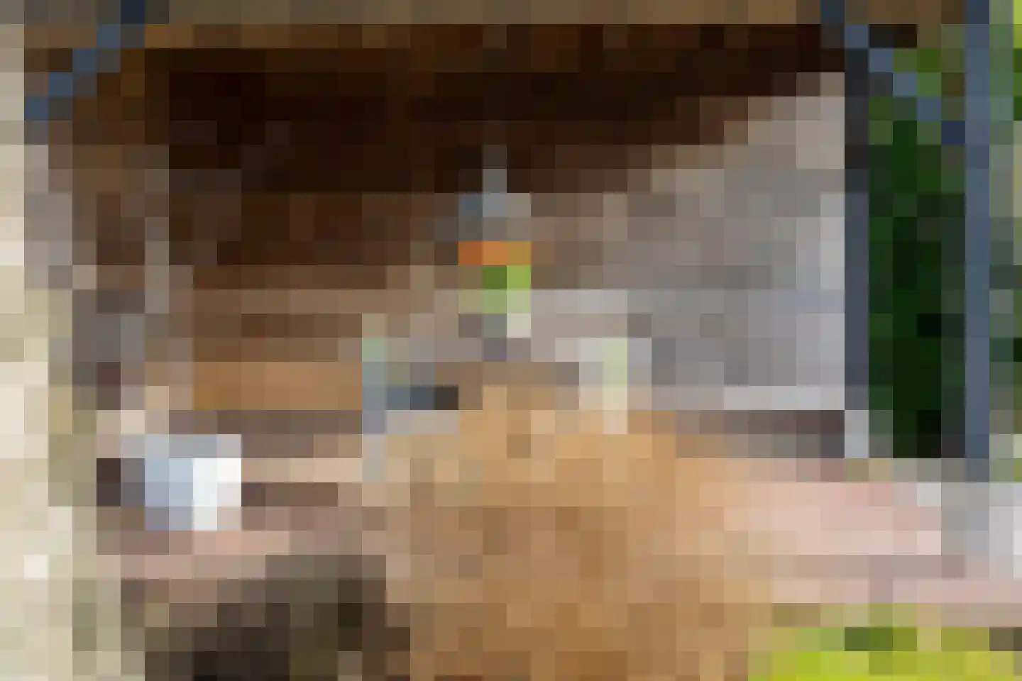Nieuwenbroeksedijk 4 a Reeuwijk thumbnail 46