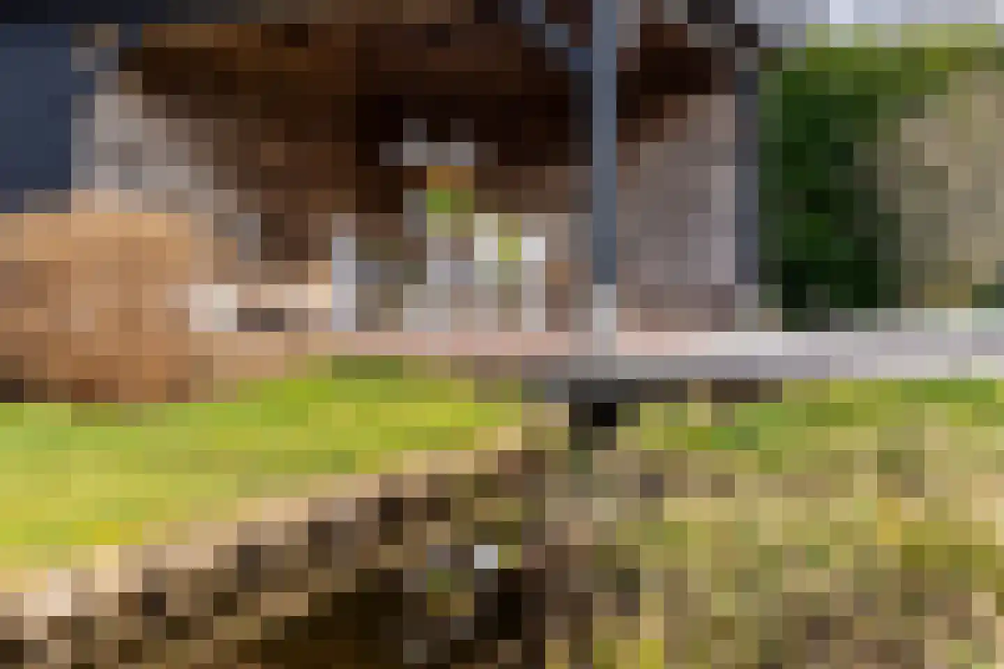 Nieuwenbroeksedijk 4 a Reeuwijk thumbnail 47