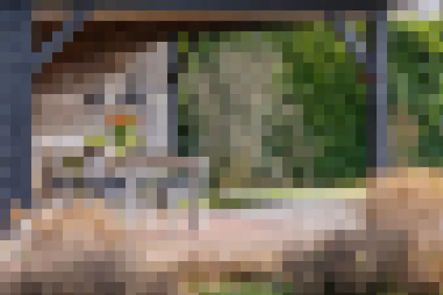 Nieuwenbroeksedijk 4 a Reeuwijk thumbnail 48