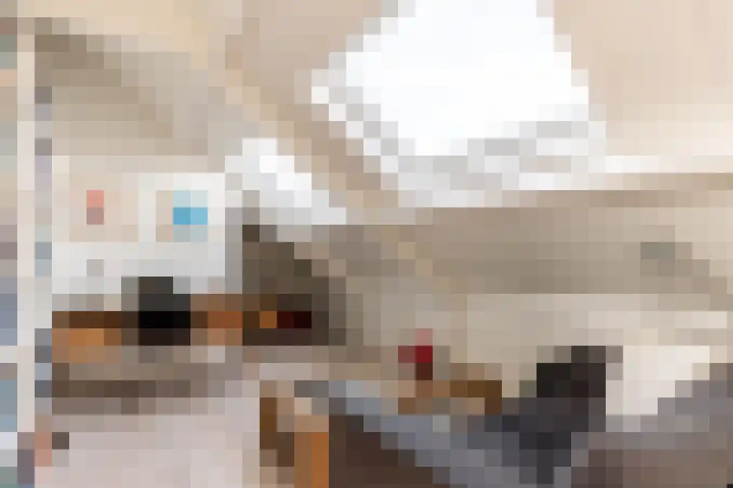 Nieuwenbroeksedijk 4 a Reeuwijk thumbnail 54