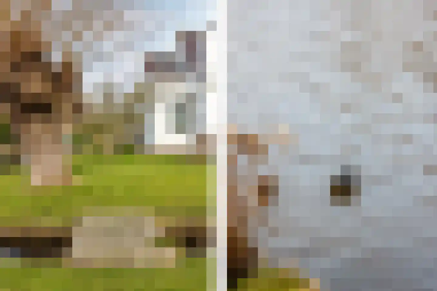 Nieuwenbroeksedijk 4 a Reeuwijk thumbnail 54