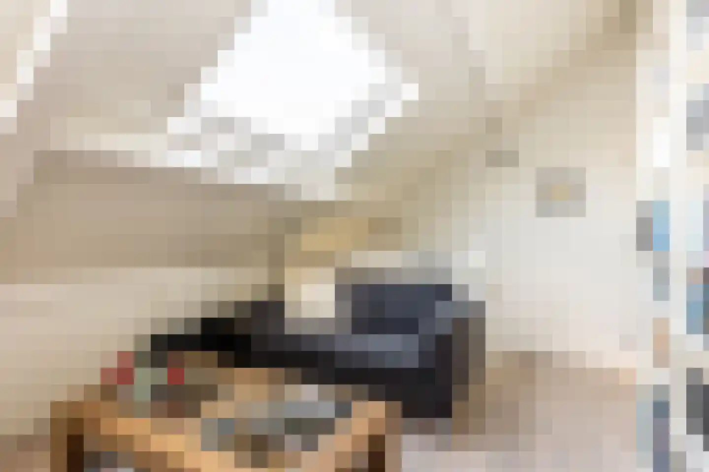 Nieuwenbroeksedijk 4 a Reeuwijk thumbnail 59