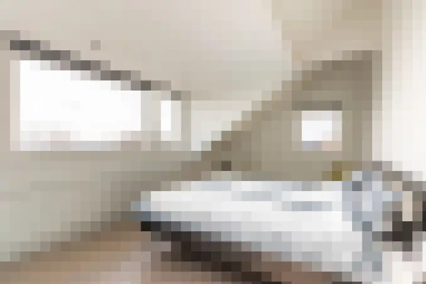 Nieuwenbroeksedijk 4 a Reeuwijk thumbnail 62