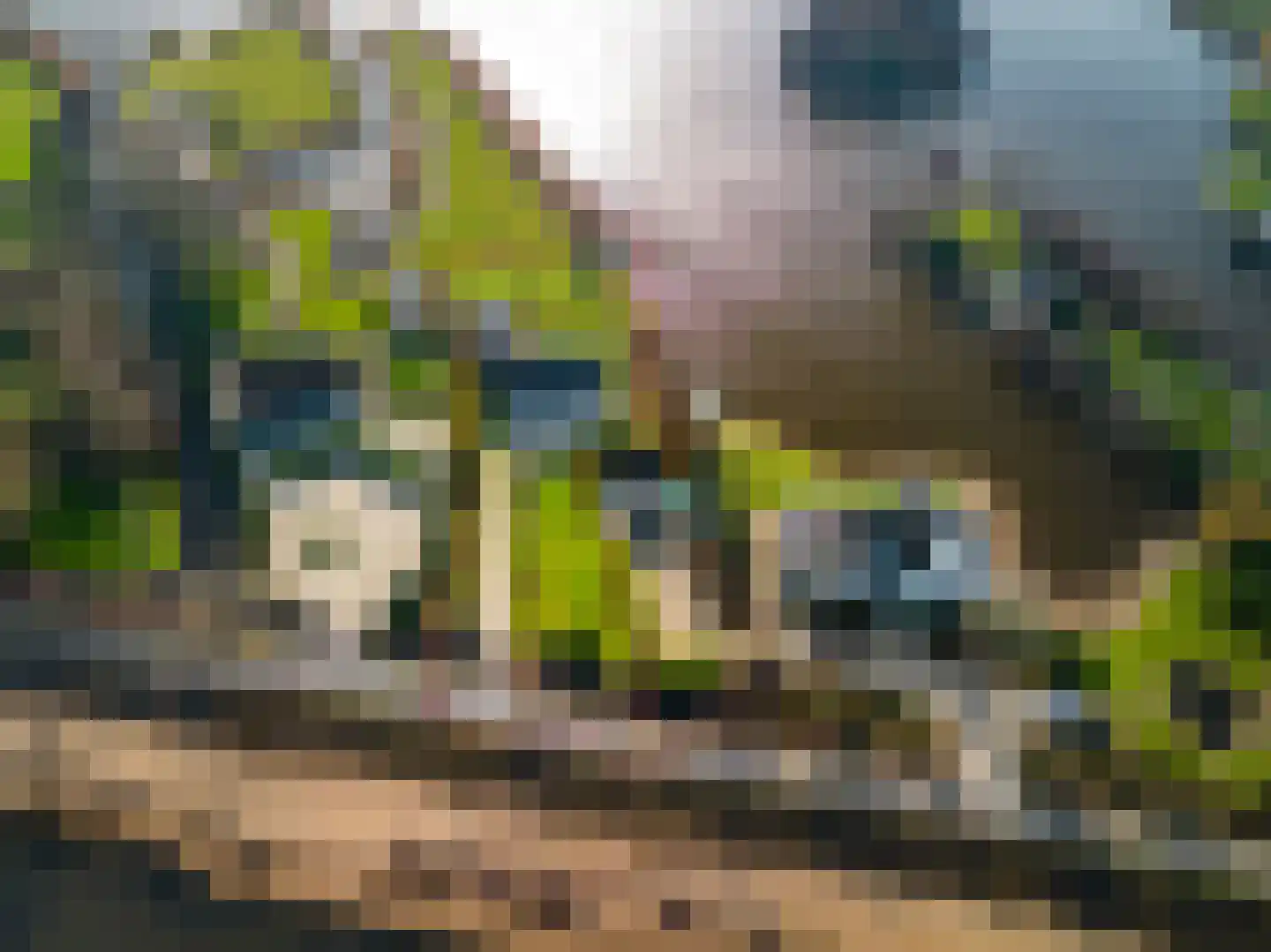 Nieuwenbroeksedijk 4 a Reeuwijk thumbnail 67